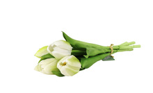 Konstblomma Tulpan Vit 5-pack